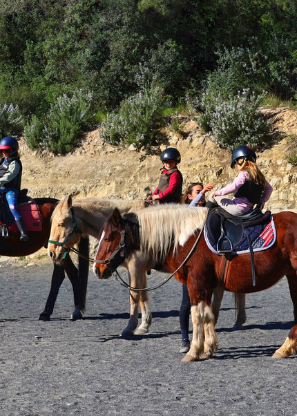 Collection image for: Tikotta Esplais