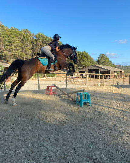 Clase de Doma Natural