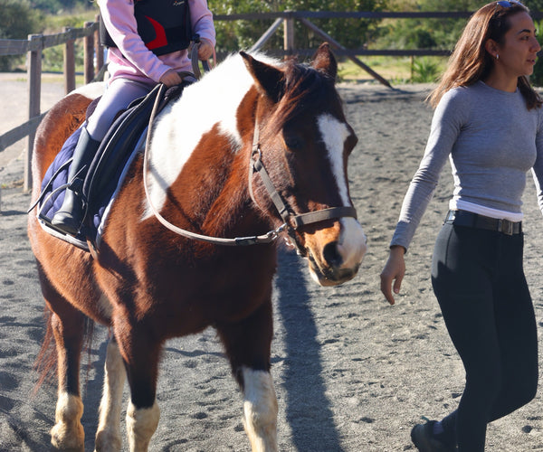 Clase Ponylandia
