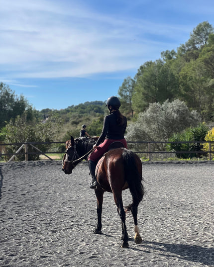 Clase de Doma Natural