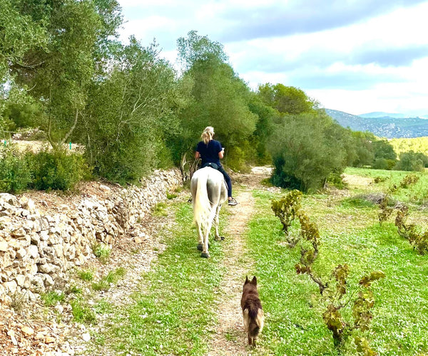 Rutas a Caballo
