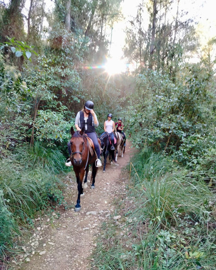 Rutas a Caballo