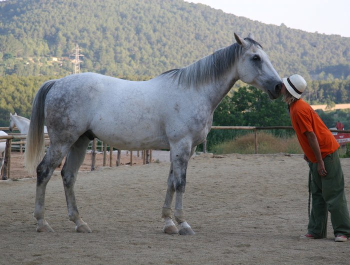 <h2>¿Quién forma<br/><span style="text-decoration:underline">el equipo Tikotta?</span></h2>