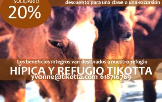 Descuento solidario