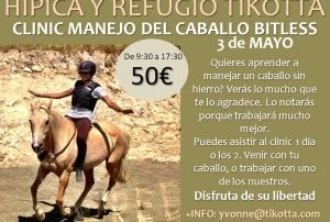 CLINIC BITLESS 3 DE MAYO