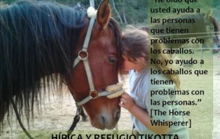Y TU CABALLO, NECESITA AYUDA?
