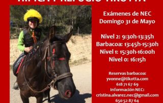 EXÁMENES DE NEC NIVELES 0, 1 Y 2 EL 31 DE MAYO