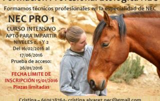 CURSO INTENSIVO NEC PRO 1