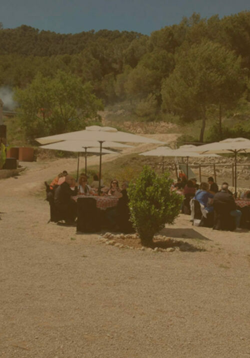 Hípica para celebraciones Sitges Vilanova y Canyelles