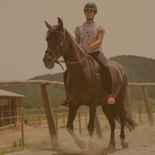 Clases equitación natural Sitges Vilanova Canyelles